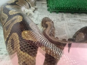 那須ワールドモンキーパークに投稿された画像（2023/1/2）