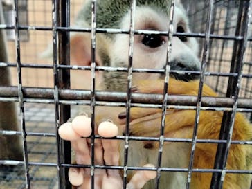 那須ワールドモンキーパークに投稿された画像（2023/1/2）