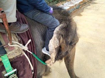 那須ワールドモンキーパークに投稿された画像（2023/1/2）