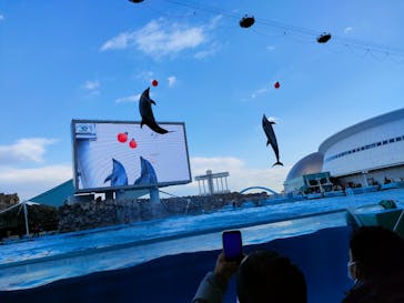 名古屋港水族館に投稿された画像（2023/1/2）