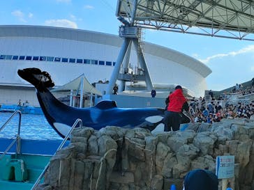 名古屋港水族館に投稿された画像（2023/1/2）