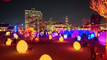 福山城400年博-FUKUYAMA CASTLE EXPO 2022- RCC開局70年 「チームラボ 福山城 光の祭」に投稿された画像（2023/1/2）