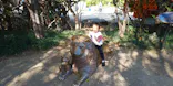 天王寺動物園に投稿された画像（2023/1/3）