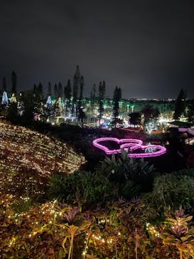 美らヤシパークオキナワ・東南植物楽園に投稿された画像（2023/1/2）