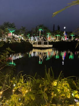 美らヤシパークオキナワ・東南植物楽園に投稿された画像（2023/1/2）