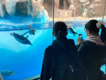 名古屋港水族館に投稿された画像（2023/1/2）