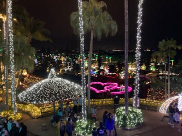 美らヤシパークオキナワ・東南植物楽園に投稿された画像（2023/1/2）