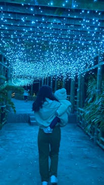 美らヤシパークオキナワ・東南植物楽園に投稿された画像（2023/1/2）