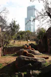天王寺動物園に投稿された画像（2023/1/3）