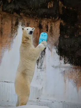 天王寺動物園に投稿された画像（2023/1/3）