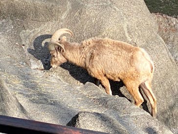 横浜市立金沢動物園に投稿された画像（2023/1/3）