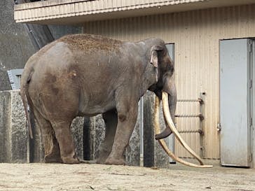 横浜市立金沢動物園に投稿された画像（2023/1/3）