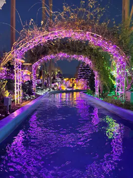 ひらかたパークに投稿された画像（2023/1/3）