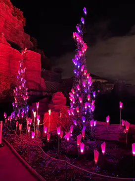 ひらかたパークに投稿された画像（2023/1/3）