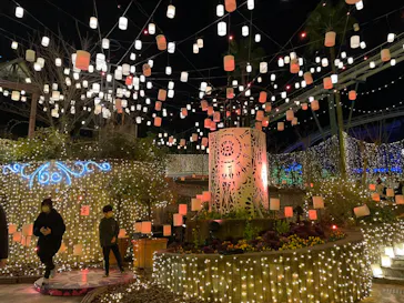 ひらかたパークに投稿された画像（2023/1/3）