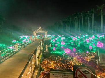 美らヤシパークオキナワ・東南植物楽園に投稿された画像（2023/1/3）