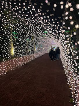 美らヤシパークオキナワ・東南植物楽園に投稿された画像（2023/1/3）