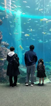 鴨川シーワールドに投稿された画像（2023/1/3）