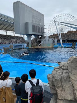 名古屋港水族館に投稿された画像（2023/1/3）