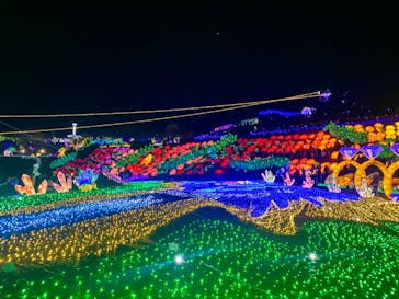 伊豆ぐらんぱる公園に投稿された画像（2023/1/3）