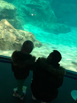 名古屋港水族館に投稿された画像（2023/1/3）