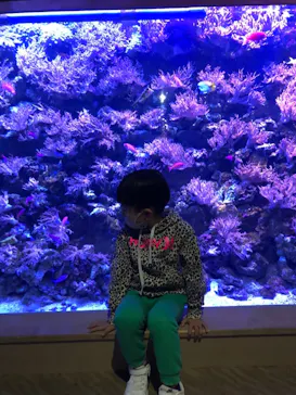 名古屋港水族館に投稿された画像（2023/1/3）