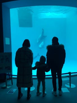 名古屋港水族館に投稿された画像（2023/1/3）