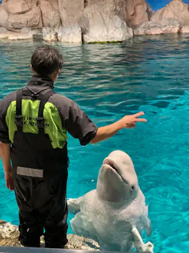 名古屋港水族館に投稿された画像（2023/1/3）