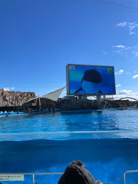 名古屋港水族館に投稿された画像（2023/1/3）