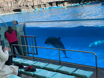 名古屋港水族館に投稿された画像（2023/1/3）