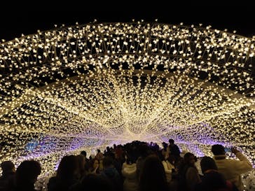 東京メガイルミに投稿された画像（2023/1/3）