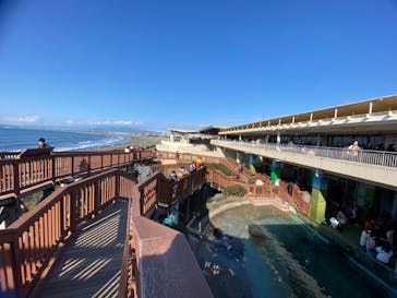 新江ノ島水族館に投稿された画像（2023/1/3）