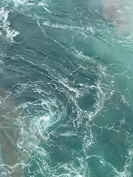 徳島県立 渦の道に投稿された画像（2023/1/3）