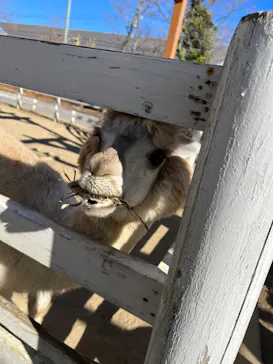 神戸どうぶつ王国に投稿された画像（2023/1/3）