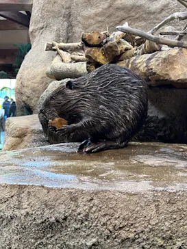 神戸どうぶつ王国に投稿された画像（2023/1/3）