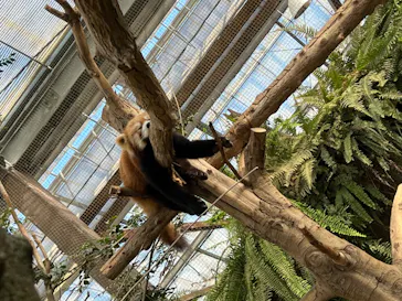 神戸どうぶつ王国に投稿された画像（2023/1/3）