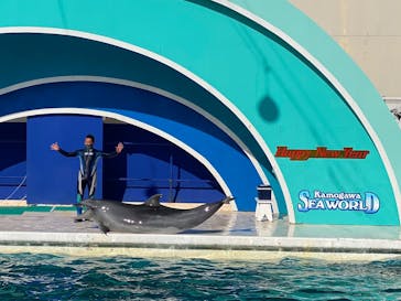 鴨川シーワールドに投稿された画像（2023/1/3）