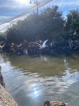 神戸どうぶつ王国に投稿された画像（2023/1/3）