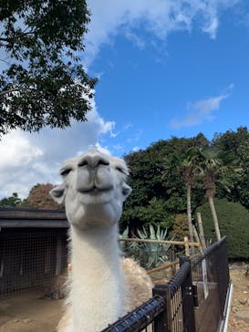 伊豆シャボテン動物公園に投稿された画像（2023/1/3）