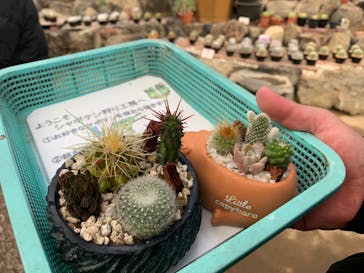 伊豆シャボテン動物公園に投稿された画像（2023/1/3）