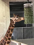 よこはま動物園ズーラシアに投稿された画像（2023/1/3）