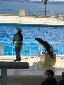 マリンワールド海の中道に投稿された画像（2023/1/3）