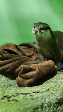 しながわ水族館に投稿された画像（2023/1/3）