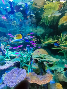 サンシャイン水族館に投稿された画像（2023/1/3）