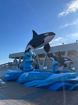鴨川シーワールドに投稿された画像（2023/1/3）