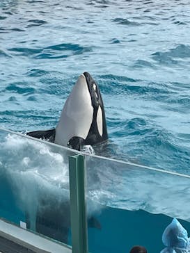 鴨川シーワールドに投稿された画像（2023/1/3）