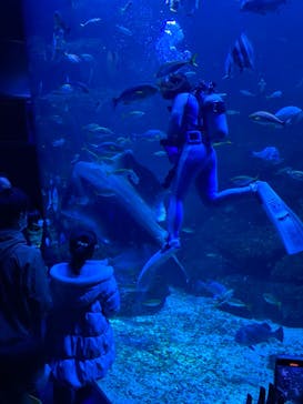 京都水族館に投稿された画像（2023/1/3）