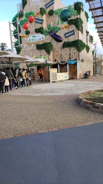 鈴鹿サーキットに投稿された画像（2023/1/3）