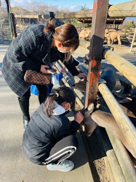 群馬サファリパークに投稿された画像（2023/1/3）