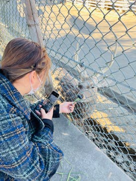 群馬サファリパークに投稿された画像（2023/1/3）